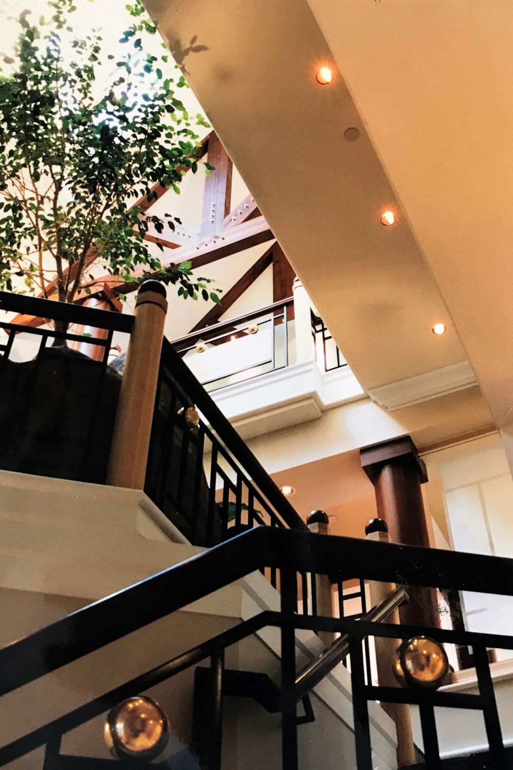 First Shaughnessy House DCYT Architecture